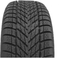 Dunlop 4038526070227, Winterreifen 205/50 R17 93V Dunlop Winter 3PMSF EVc MFS XL,