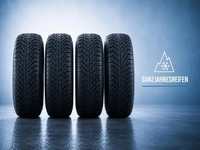 Fulda 5452000586988, Ganzjahresreifen 205/55 R16 94V Fulda MultiControl 3PMSF...