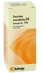 Synergon Komplex 15a Teucrium Tropfen