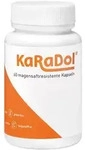 Karadol Magensaftresistente Kapseln