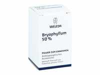 Bryophyllum 50% Pulver zum Einnehmen