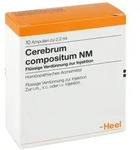 Cerebrum Compositum Nm Ampullen