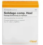 Solidago Comp.heel Ampullen