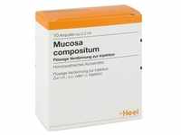 Mucosa Compositum Ampullen
