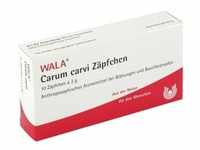 Carum Carvi Zäpfchen