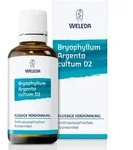Bryophyllum Argento Cultum Dilution D2