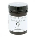 Sch&uuml;ssler Nummer 9 Natrium phosphoricum D6 Tabletten