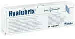 Hyalubrix Injektionsl&ouml;sung i.e.Fertigspritze