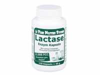 Lactase 12000 Fcc Enzym Kapseln