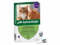 Advantage 80 mg für gr.Katzen und gr.Zierkaninchen