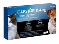 Capstar 11,4 mg für Katzen und kleine Hunde Tabletten