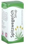 Spitzwegerich Sirup
