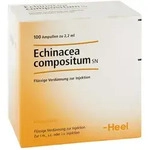 Echinacea Compositum Sn Ampullen