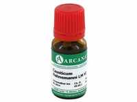 Causticum Arcana Lm 6 Dilution