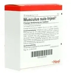 Musculus suis Injeel Ampullen