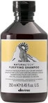 Davines Natural Tech Purifying Shampoo 250 ml