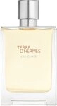 Herm&egrave;s Terre d'Herm&egrave;s Eau Givr&eacute;e Eau de Parfum (EdP) 100 ml