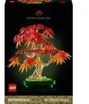 Japanischer Roter Ahorn &ndash; Bonsai-Baum - 10348