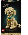 Golden Retriever Welpe - 11384