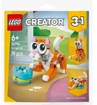 Orange Katze - 30714