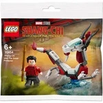 Shang-Chi und The Great Protector - 30454