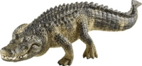 SCHLEICH 14727 - WILD LIFE Alligator Spielfigur Mehrfarbig