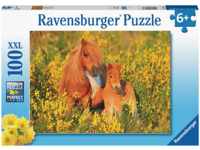 RAVENSBURGER Shetlandponys Puzzle Mehrfarbig