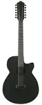 Ibanez AEG1221-BOT 12 String Westerngitarre