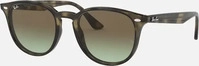 Ray Ban 4259/51, RAY BAN Sonnenbrille 4259/51 grau