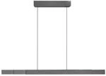Neuhaus Pure Pendelleuchte PURE-MOTO-RISE, Platin, Aluminium