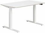 Paidi Schreibtisch E-LION, Holznachbildung