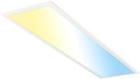 Briloner LED-Panelleuchte EEKA, Metall