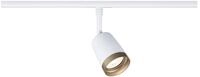 PAULMANN Schienenspot URAIL, Metall