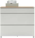Dieter Knoll Schuhschrank SORRENT, Holznachbildung