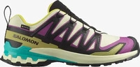 Salomon - Traillaufschuhe aus GORE-TEX - XA Pro 3D V9 GTX M Transparent...