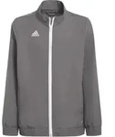 adidas ENTRADA22 Presentation Jacket Youth team grey four (AE2C) 116