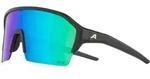 Alpina RAM HR Q-lite black matt mirror green (32) one size