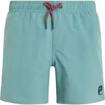 Protest Culture JR Beachshort arcticgreen (486) 140
