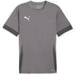 Puma Teamgoal Matchday Jersey cast iron-puma white-shadow gray (13) L