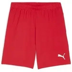 Puma Teamgoal Shorts puma red-puma white (01) S