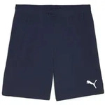 Puma Teamgoal Shorts puma navy-puma white (06) S
