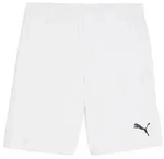 Puma Teamgoal Shorts puma white-puma black (04) S