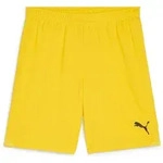 Puma Teamgoal Shorts faster yellow-puma black (07) S