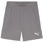 Puma Teamgoal Shorts cast iron-puma white (13) S
