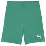 Puma Teamgoal Shorts sport green-puma white (05) S