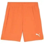 Puma Teamgoal Shorts rickie orange-puma white (08) S