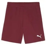 Puma Teamgoal Shorts team regal red-puma white (09) S