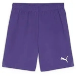 Puma Teamgoal Shorts team violet-puma white (10) S