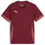 Puma Teamgoal Matchday Jersey jr team regal red-puma white-astro red (09) 116