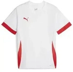 Puma Teamgoal Matchday Jersey jr puma white-puma red-puma red (11) 116